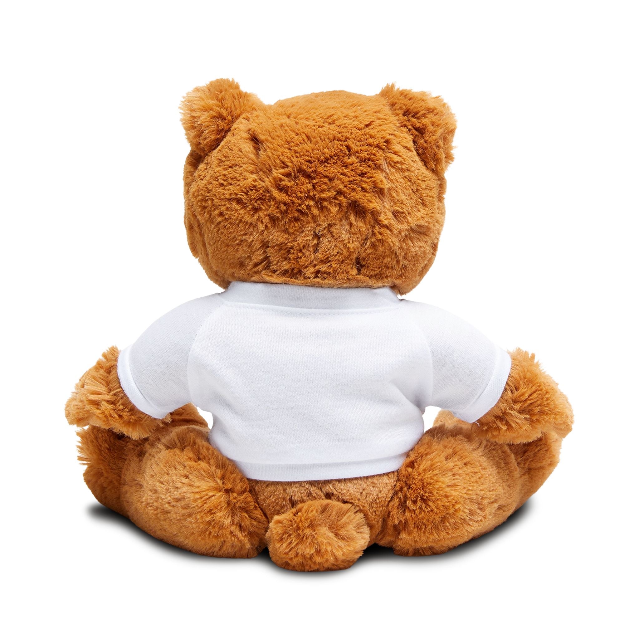 Valentine Plush Teddy Bear - 'Be Mine' Shirt